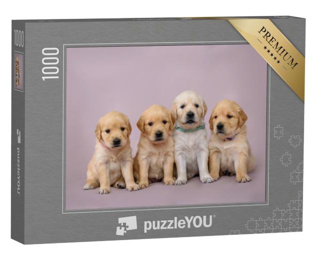 Puzzle de 1000 pièces « Quatre petits chiots Golden Retrieve »