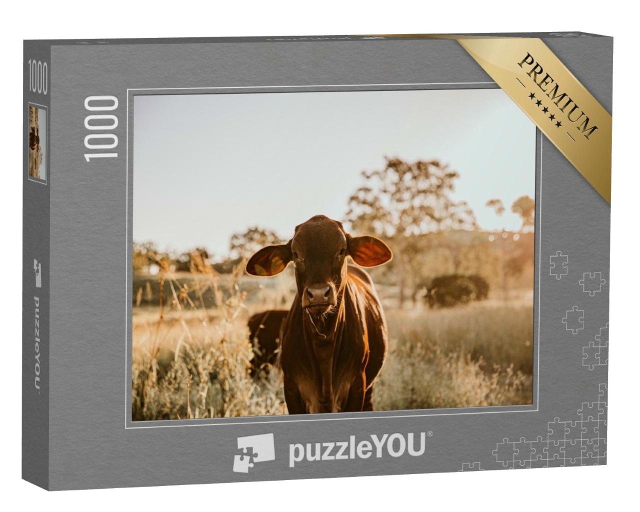 Puzzle de 1000 pièces « Jeune vache dans l'herbe »