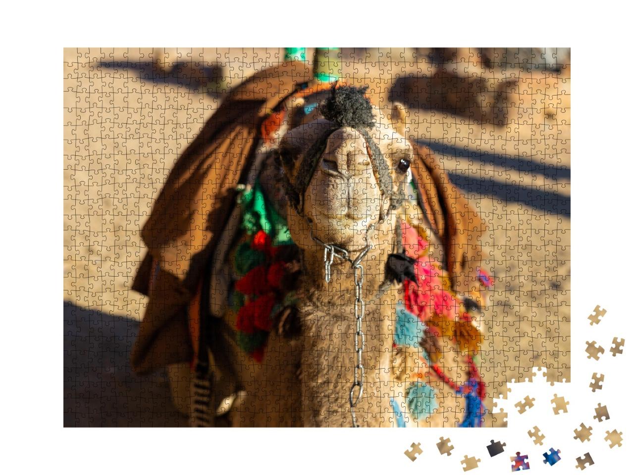 Puzzle de 1000 pièces « Chameau dromadaire devant le sable du désert chaud, Égypte, Sinaï »