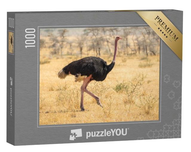Puzzle de 1000 pièces « Migration des autruches dans la steppe en Afrique »