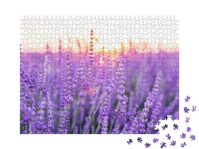 Puzzle de 1000 pièces « Coucher de soleil sur un champ de lavande, Provence, France »