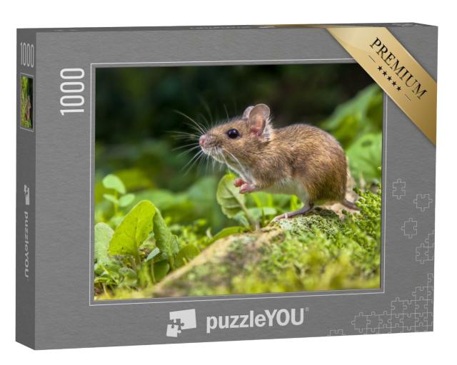 Puzzle de 1000 pièces « Adorable petite souris dans la forêt »