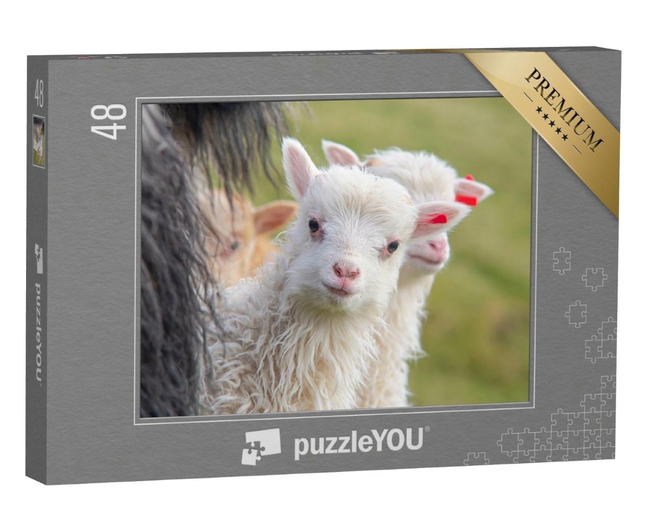 Puzzle de 48 pièces « Un agneau regarde la caméra avec curiosité »
