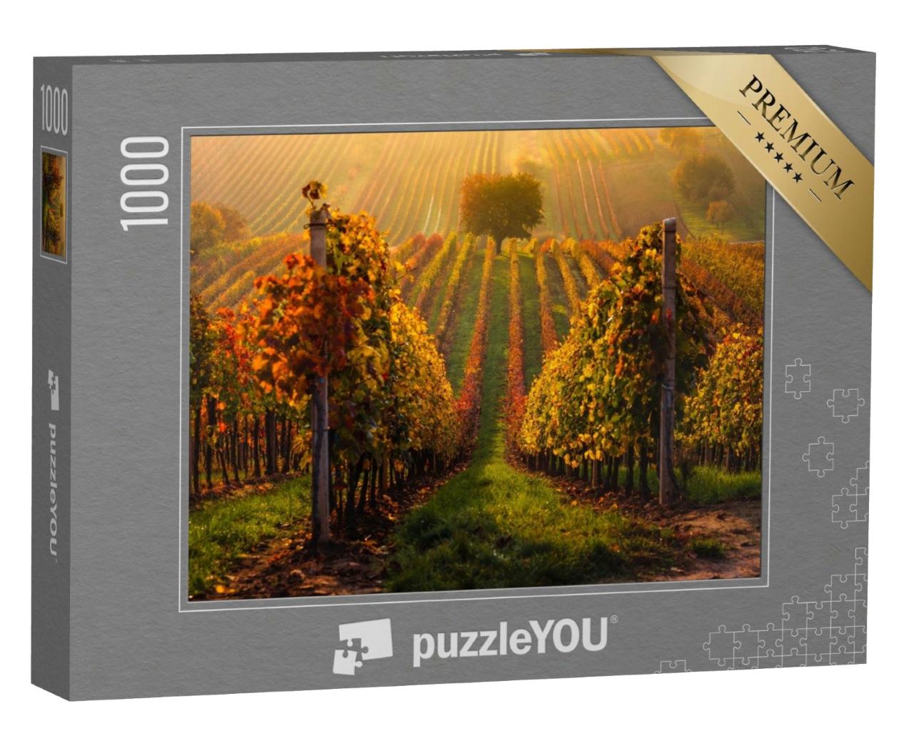 Puzzle de 1000 pièces « Automne dans les vignobles moraves près de Velke Bilovice en République tchèque »