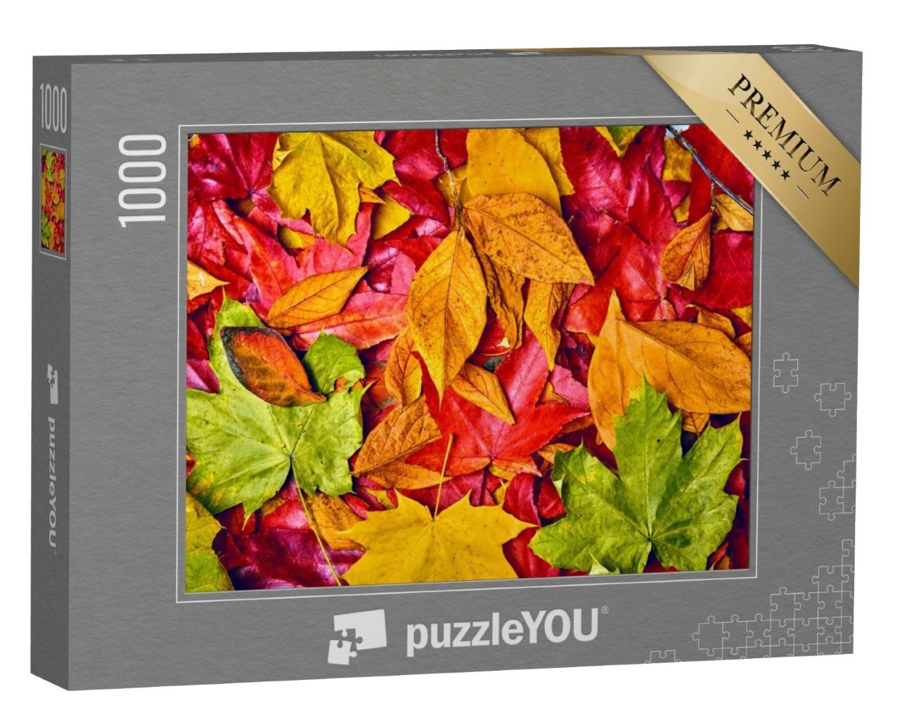 Puzzle de 1000 pièces « Arrière-plan de feuilles d'automne »