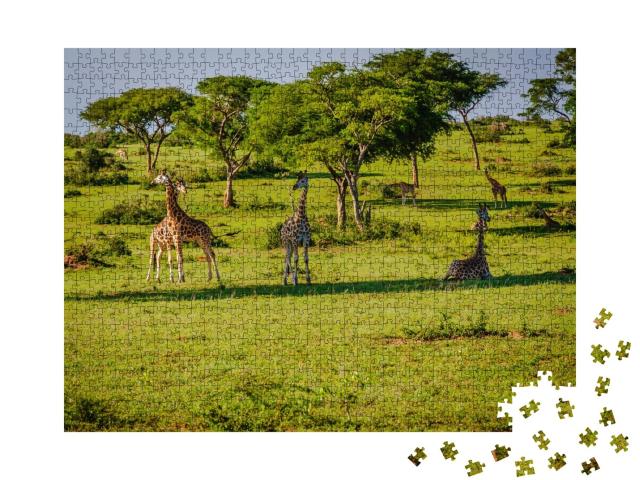 Puzzle de 1000 pièces « Nature et faune dans le parc de Murchison Falls, Ouganda, Afrique »