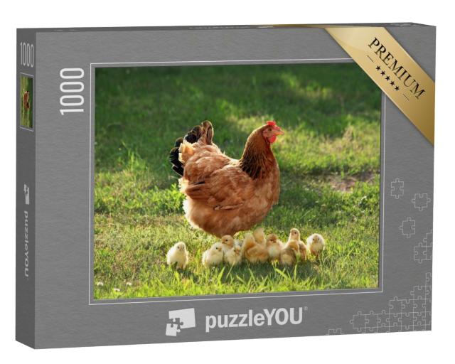 Puzzle de 1000 pièces « Mère poule et ses poussins dans une verte prairie »