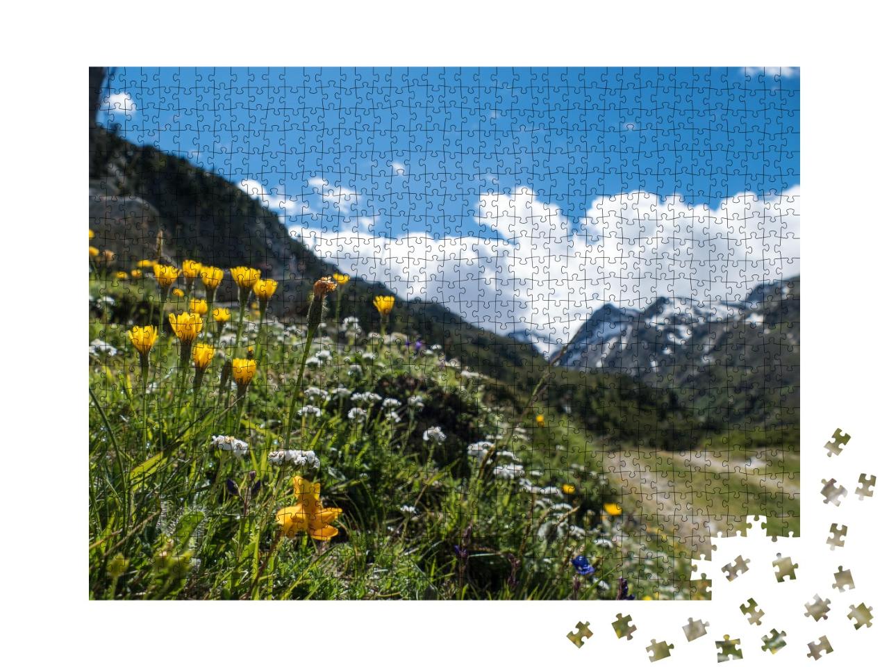 Puzzle de 1000 pièces « Un paysage estival de rêve dans les Alpes de l'Ötztal »