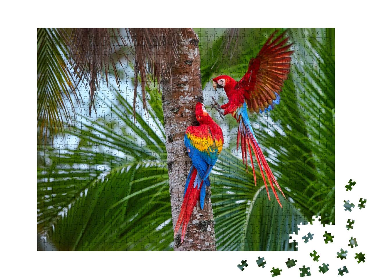 Puzzle de 1000 pièces « Perroquets d'Amazonie sur un palmier »