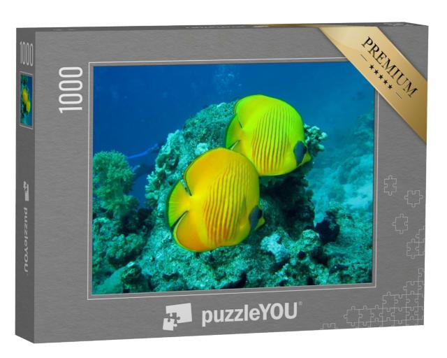 Puzzle de 1000 pièces « Récif de corail avec des poissons de la mer Rouge en Égypte »
