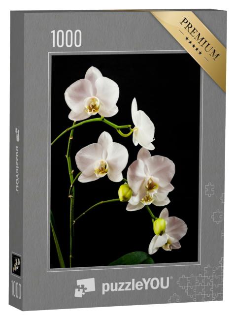 Puzzle de 1000 pièces « Branche d'orchidée blanche pleine de fleurs »
