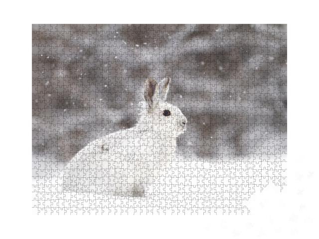 Puzzle de 1000 pièces « Lièvre blanc dans une tempête de neige, Canada »
