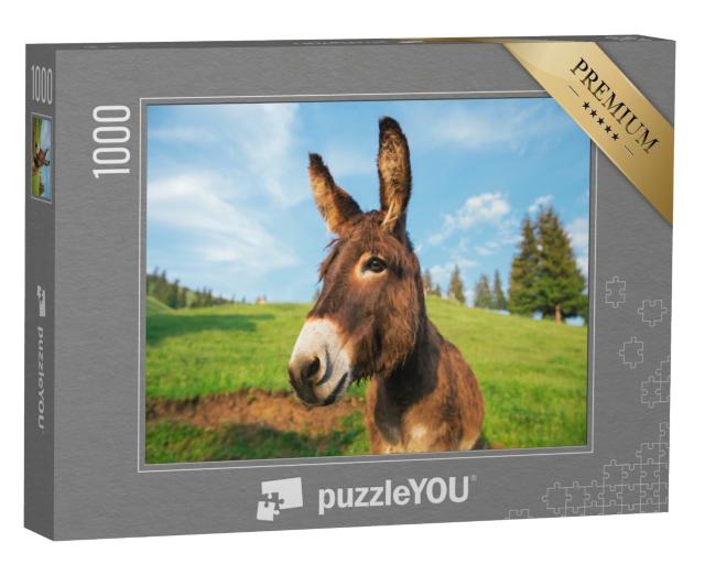 Puzzle de 1000 pièces « Image d'un âne au coucher du soleil en Transylvanie »