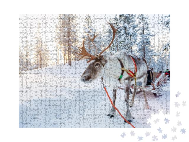 Puzzle de 1000 pièces « Rennes dans une forêt d'hiver en Laponie finlandaise »
