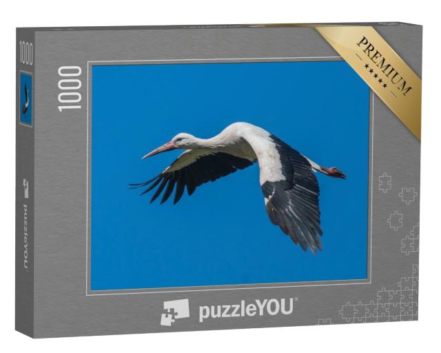 Puzzle de 1000 pièces « Cigogne blanche en vol dans le ciel bleu »