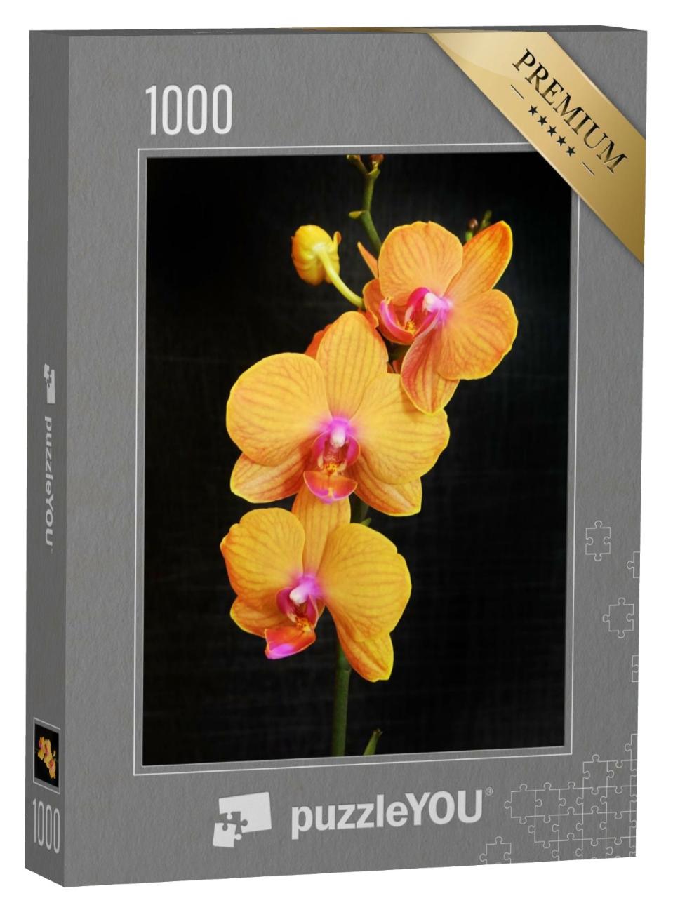 Puzzle de 1000 pièces « Orchidée phalaenopsis orange aux fleurs abondantes »