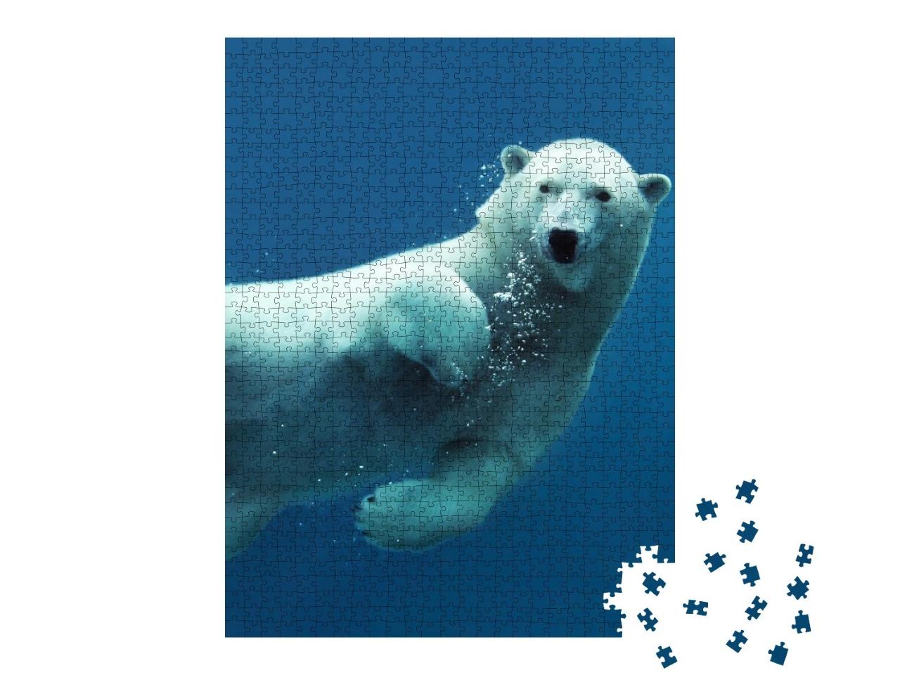 Puzzle de 1000 pièces « Gros plan sur un ours polaire nageant sous l'eau »