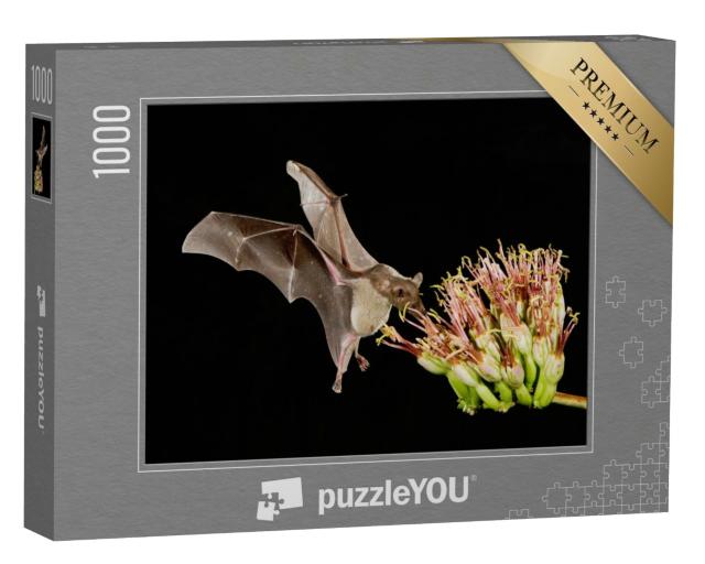 Puzzle de 1000 pièces « Petite chauve-souris à long nez en vol autour d'une fleur d'agave »