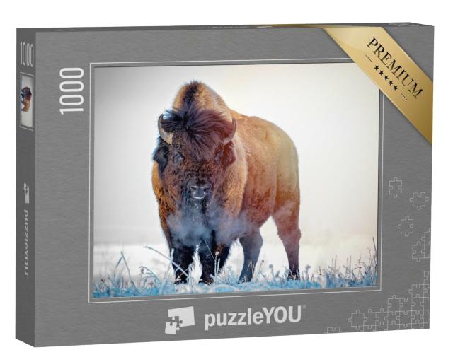 Puzzle de 1000 pièces « Bison de prairie un matin d'hiver »