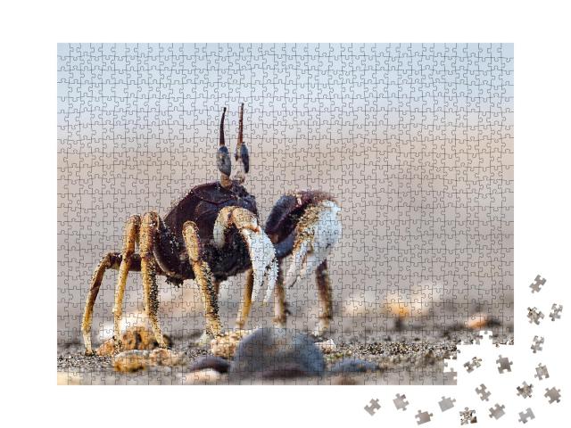 Puzzle de 1000 pièces « Un crabe curieux sur une plage de sable fin »