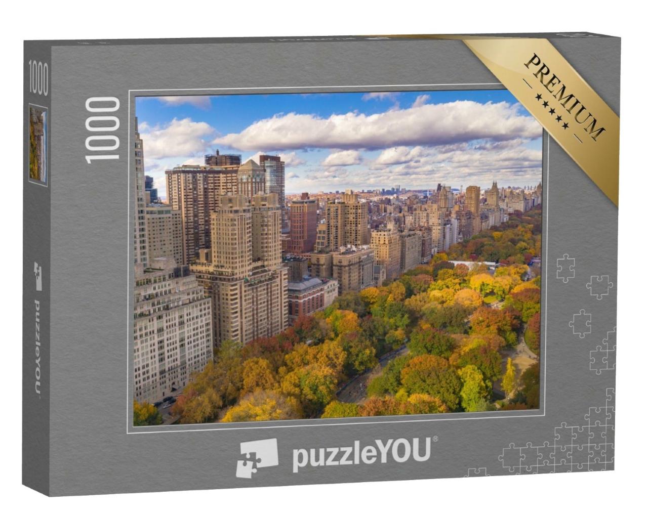 Puzzle de 1000 pièces « La mitaine de Central Park à Manhattan, New York »