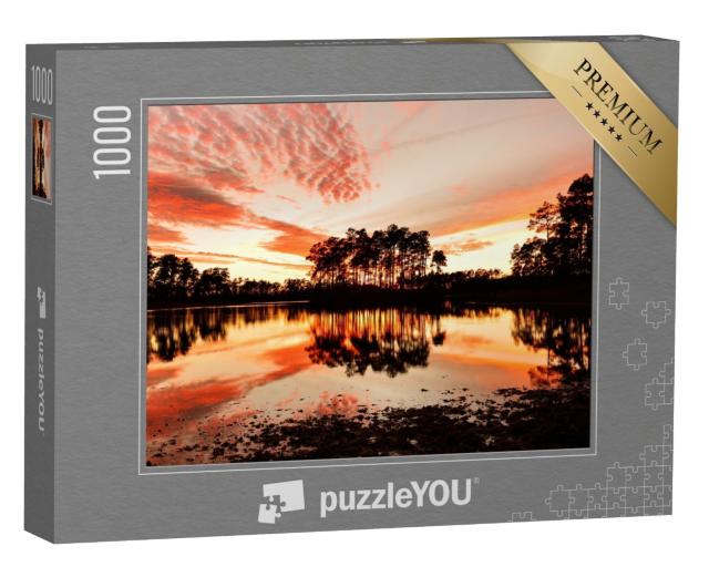 Puzzle de 1000 pièces « Lac de Long Pine Key, Parc national des Everglades, Floride »