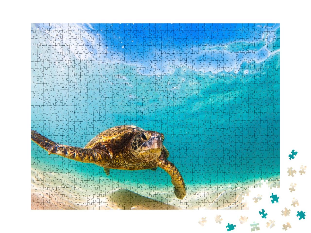 Puzzle de 1000 pièces « Tortue de mer verte, Hawaii »