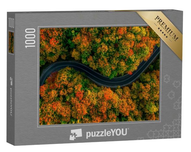 Puzzle de 1000 pièces « Vue aérienne : une route sinueuse dans une épaisse forêt d'automne »