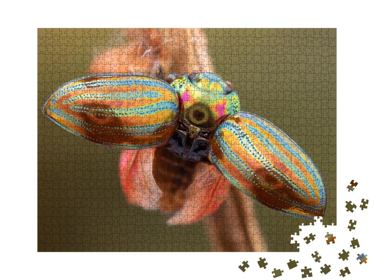 Puzzle de 1000 pièces « Gros plan sur un scarabée du romarin aux élytres largement ouverts »