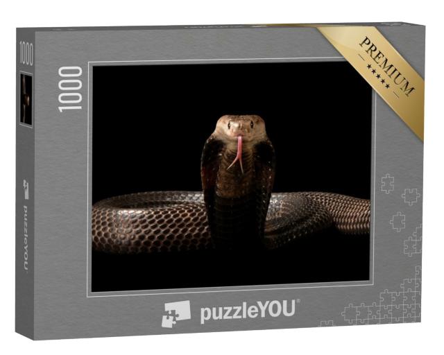 Puzzle de 1000 pièces « Un cobra »