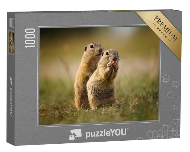 Puzzle de 1000 pièces « Photo de la nature : d'adorables écureuils terrestres »