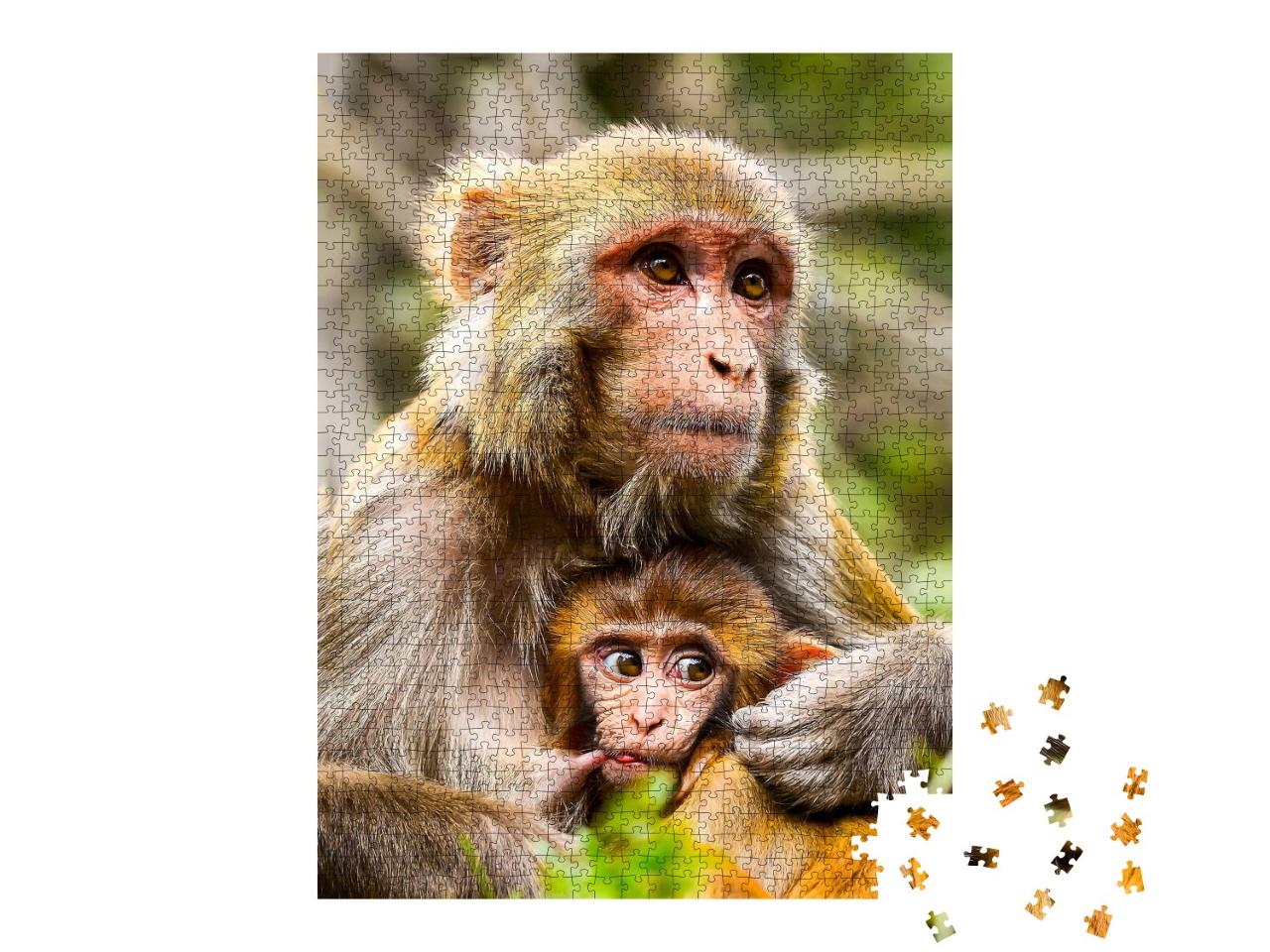 Puzzle de 1000 pièces « Une mère singe et son bébé »