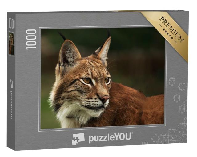 Puzzle de 1000 pièces « Un lynx eurasien attentif »