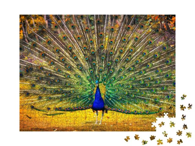 Puzzle de 1000 pièces « Le paon bleu montre son plumage »