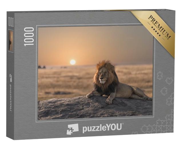Puzzle de 1000 pièces « Un lion majestueux au coucher du soleil »