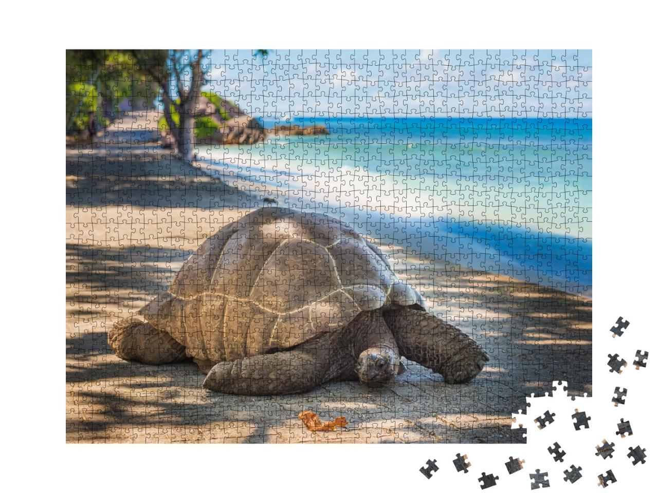 Puzzle de 1000 pièces « Tortue géante des Seychelles »