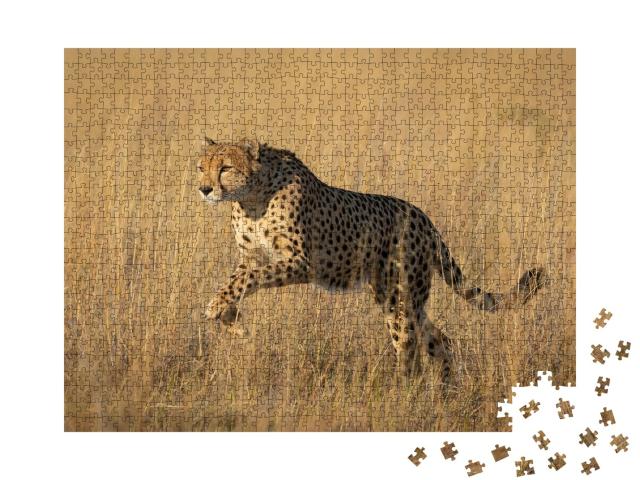 Puzzle de 1000 pièces « Étude d'un guépard bondissant à Savuti, Botswana »
