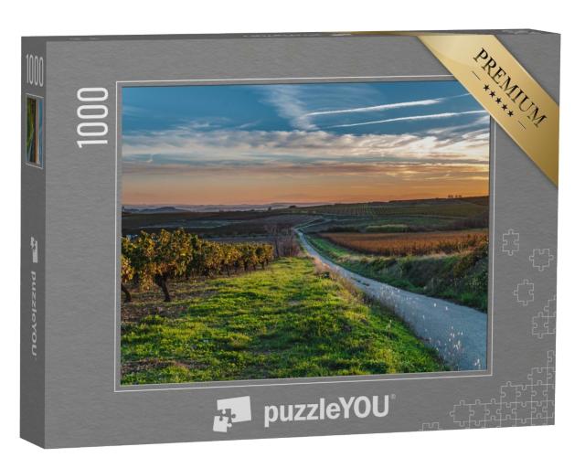 Puzzle de 1000 pièces « Vignoble du Languedoc-Roussillon traversé par une petite route au coucher du soleil »