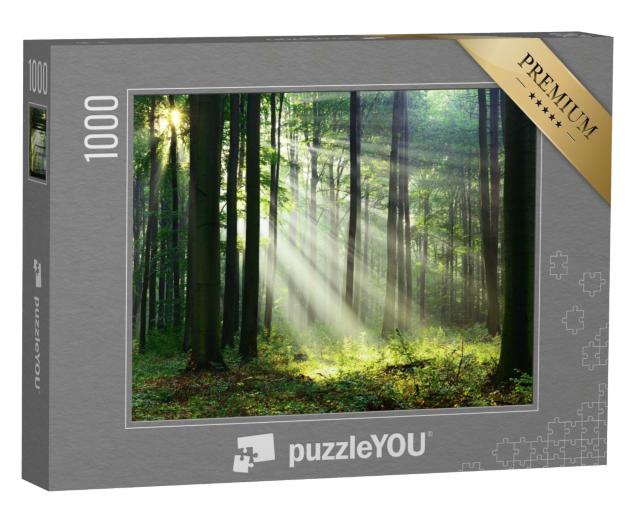 Puzzle de 1000 pièces « Un matin dans la forêt avec les premiers rayons de soleil »