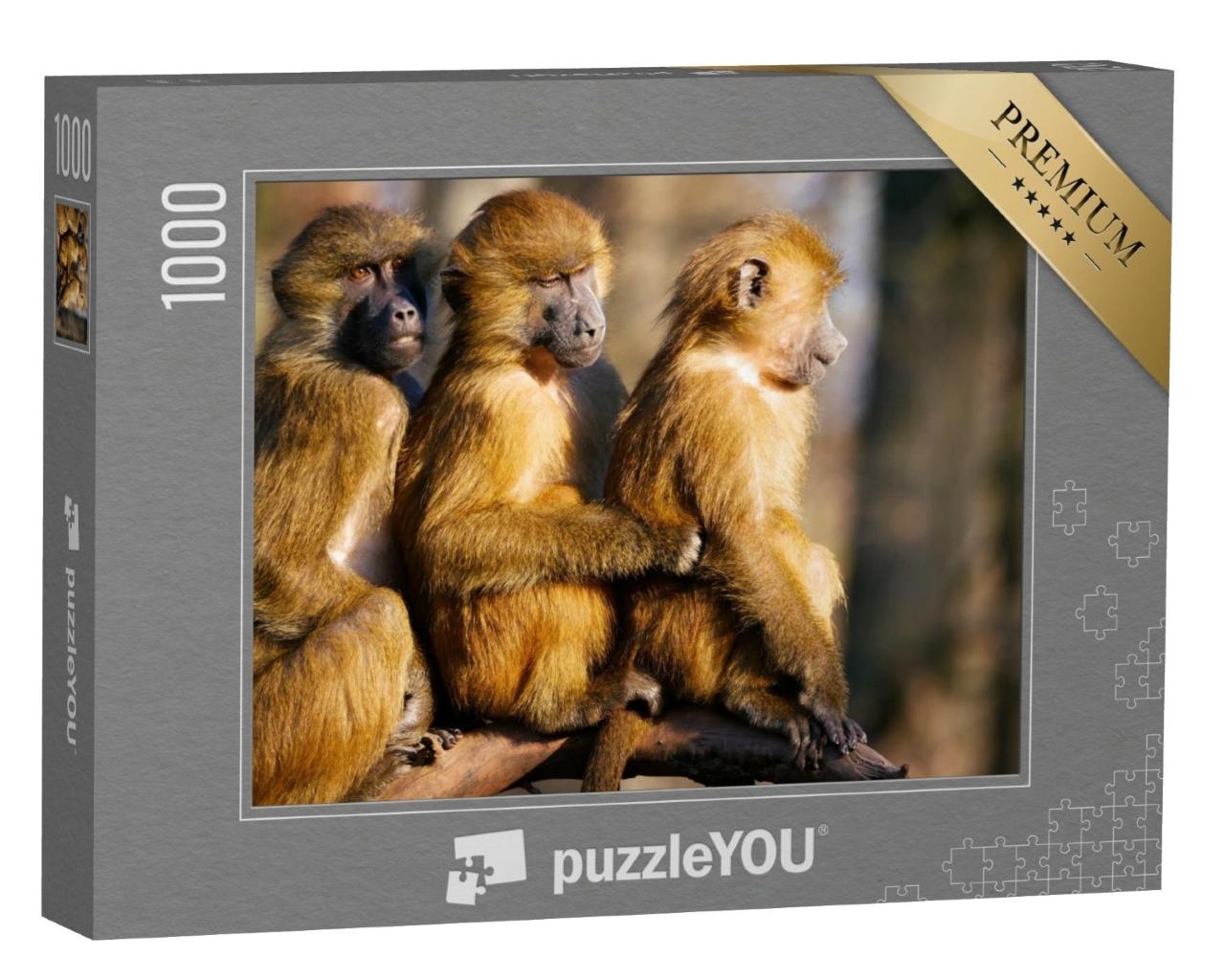 Puzzle de 1000 pièces « Famille de babouins »