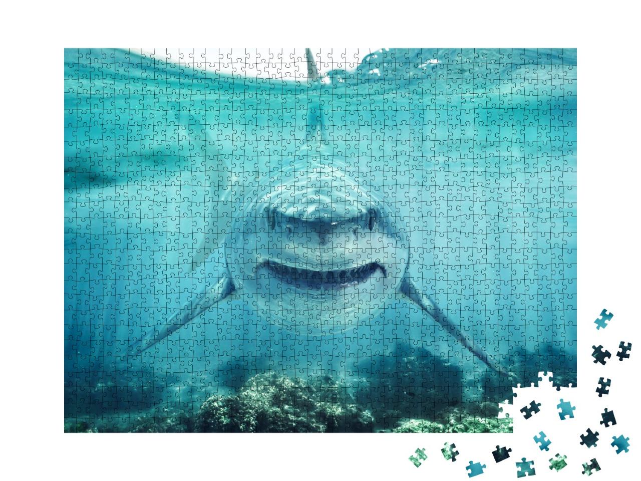 Puzzle de 1000 pièces « Face à face avec un grand requin blanc »
