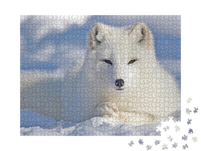 Puzzle de 1000 pièces « Magnifique renard arctique dans la neige »