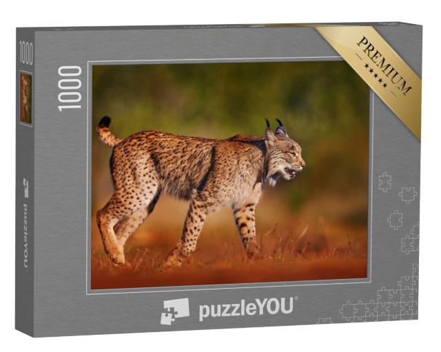 Puzzle de 1000 pièces « Lynx ibérique, chat sauvage de la péninsule ibérique »