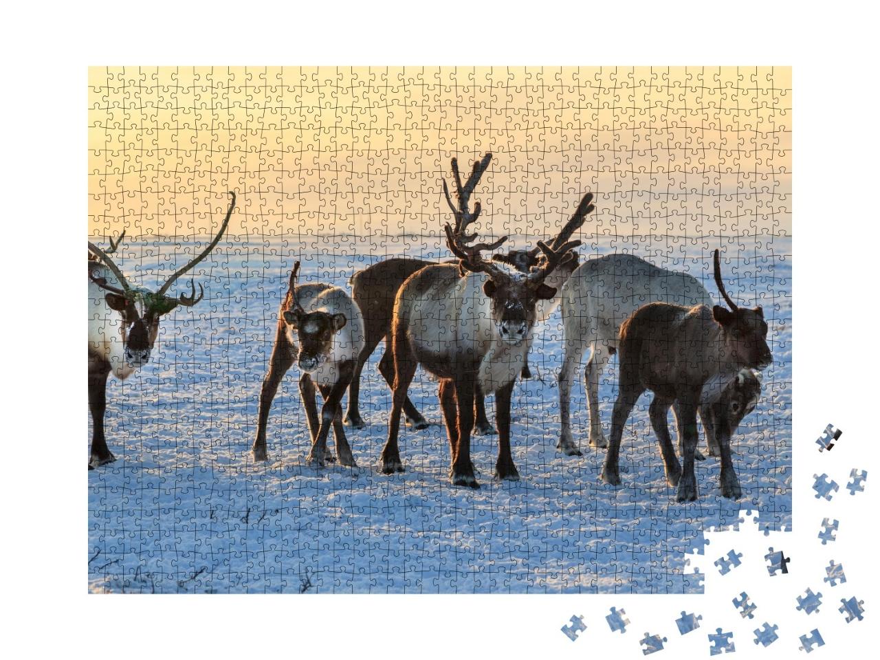 Puzzle de 1000 pièces « Troupeau de rennes dans la neige »