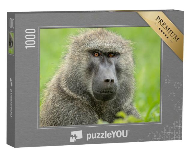 Puzzle de 1000 pièces « Le babouin olive au Kenya »