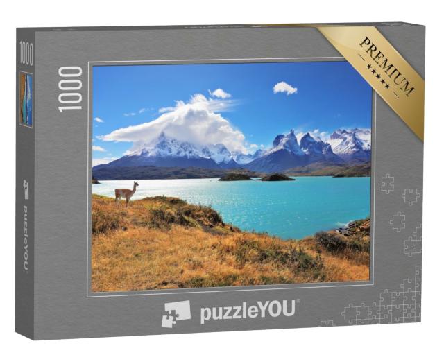 Puzzle de 1000 pièces « Magnifique parc national Torres del Paine dans le sud du Chili »