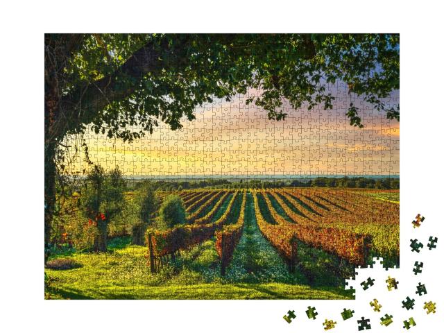 Puzzle de 1000 pièces « Vignoble de Bolgheri au coucher du soleil, Toscane, Italie »