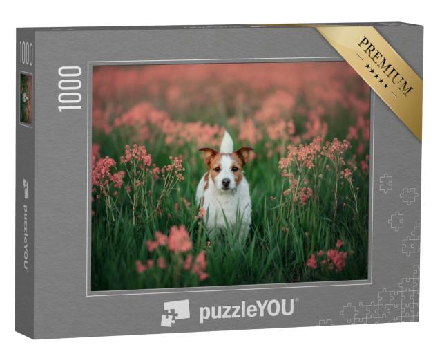 Puzzle de 1000 pièces « Jack Russell Terrier curieux dans une prairie fleurie »