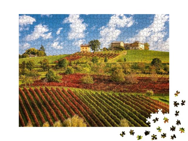 Puzzle de 1000 pièces « Vignobles de Lambrusco près de Castelvetro, Émilie-Romagne, Italie »