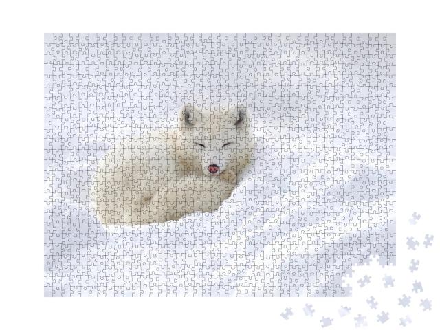 Puzzle de 1000 pièces « Renard polaire blotti dans la neige »